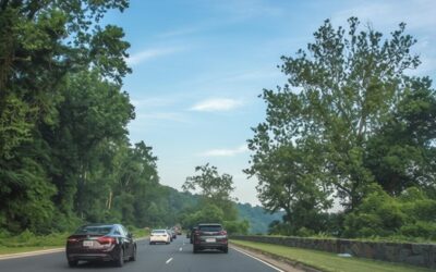 Tragedie în Virginia. Un bărbat de 39 de ani a murit după ce un copac a căzut pe mașina sa