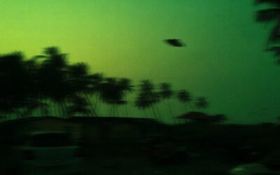 Soția generalului american dispărut pe 27 februarie demontează teoriile OZN