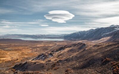 Donald Trump ordonă publicarea dosarelor OZN. Joe Rogan reacționează
