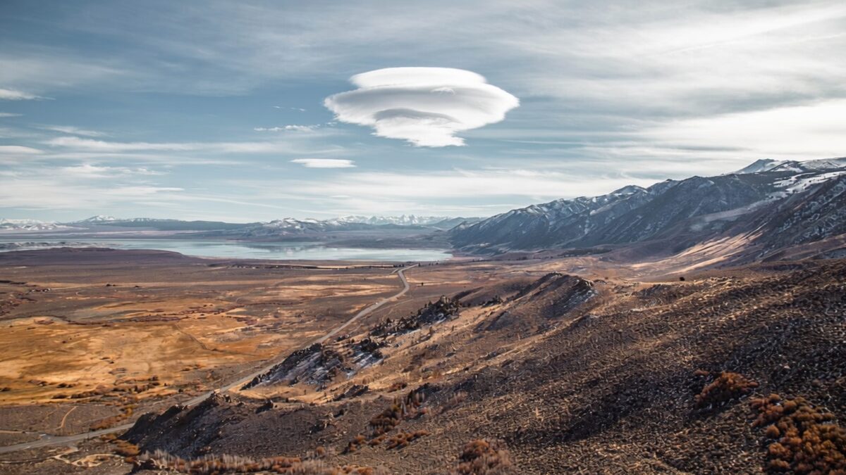 Donald Trump ordonă publicarea dosarelor OZN. Joe Rogan reacționează