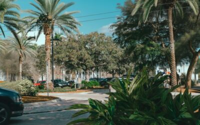 O mamă din Georgia arestată după ce și-a lăsat 3 copii singuri în mașină