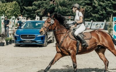 Un cal scăpat de sub control a lovit o mașină în Charlotte după o cascadorie ratată