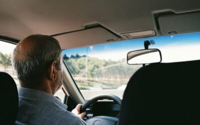 Un șofer Uber a găsit un piton viu în mașină după ce a refuzat să oprească