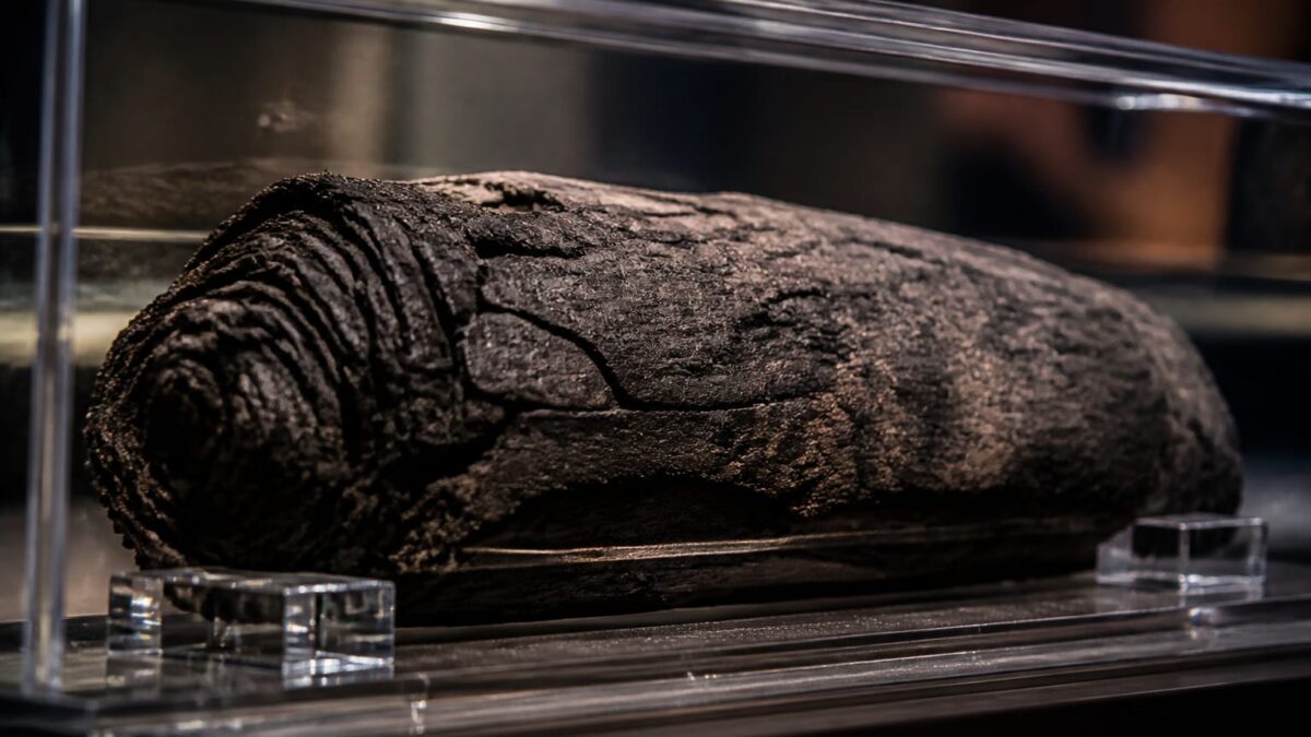 Inteligența artificială a citit complet un papirus de la Herculaneum.