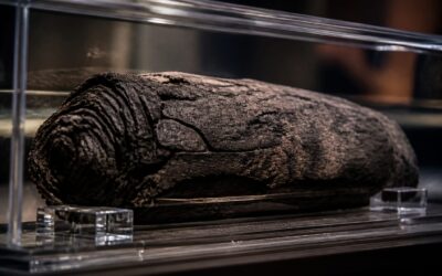 Inteligența artificială a citit complet un papirus de la Herculaneum.
