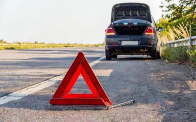 Elveția. Șoferii sunt opriți pe drumuri de 80 km/h într-o înșelătorie cu combustibil și bijuterii false 2 Elveția. Șoferii sunt opriți pe drumuri de 80 km/h într-o înșelătorie cu combustibil și bijuterii false