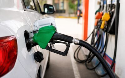 Articolul care promitea detalii despre benzina E20 și asigurări auto, dar livrează o biografie