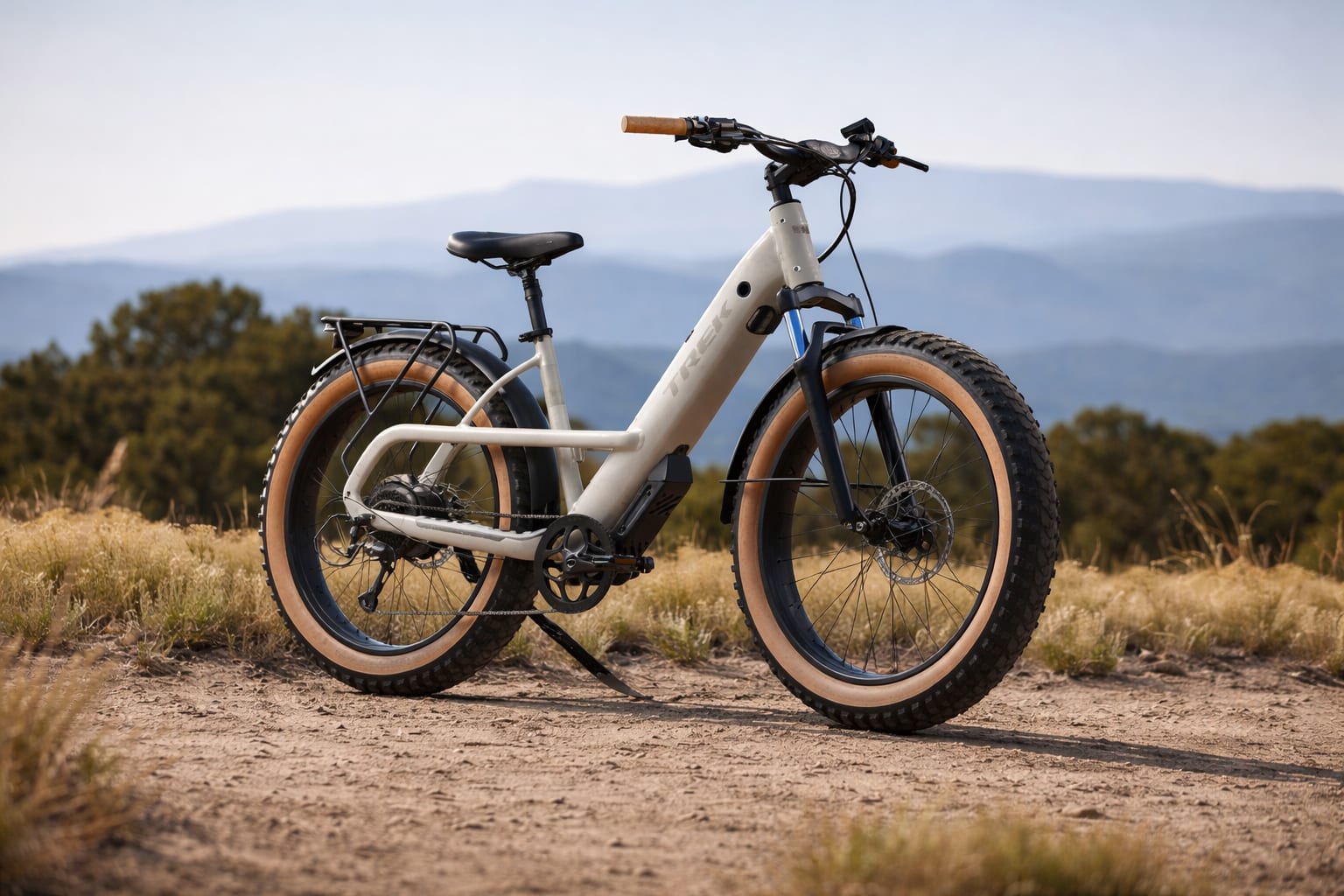 200 kg, 97 km, 2.190 de euro. Are sens această bicicletă electrică în locul mașinii de oraș? 2 Trek Borrego+, imagine 2