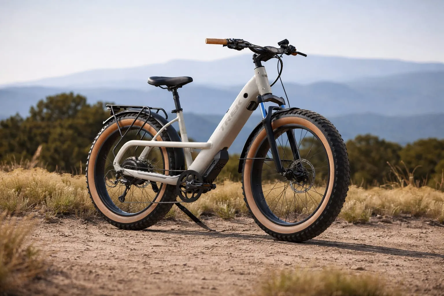 200 kg, 97 km, 2.190 de euro. Are sens această bicicletă electrică în locul mașinii de oraș? 2 Trek Borrego+, imagine 2