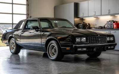 După un carjacking, un Chevrolet Monte Carlo a stat 20 de ani în garaj 25 După un carjacking, un Chevrolet Monte Carlo a stat 20 de ani în garaj